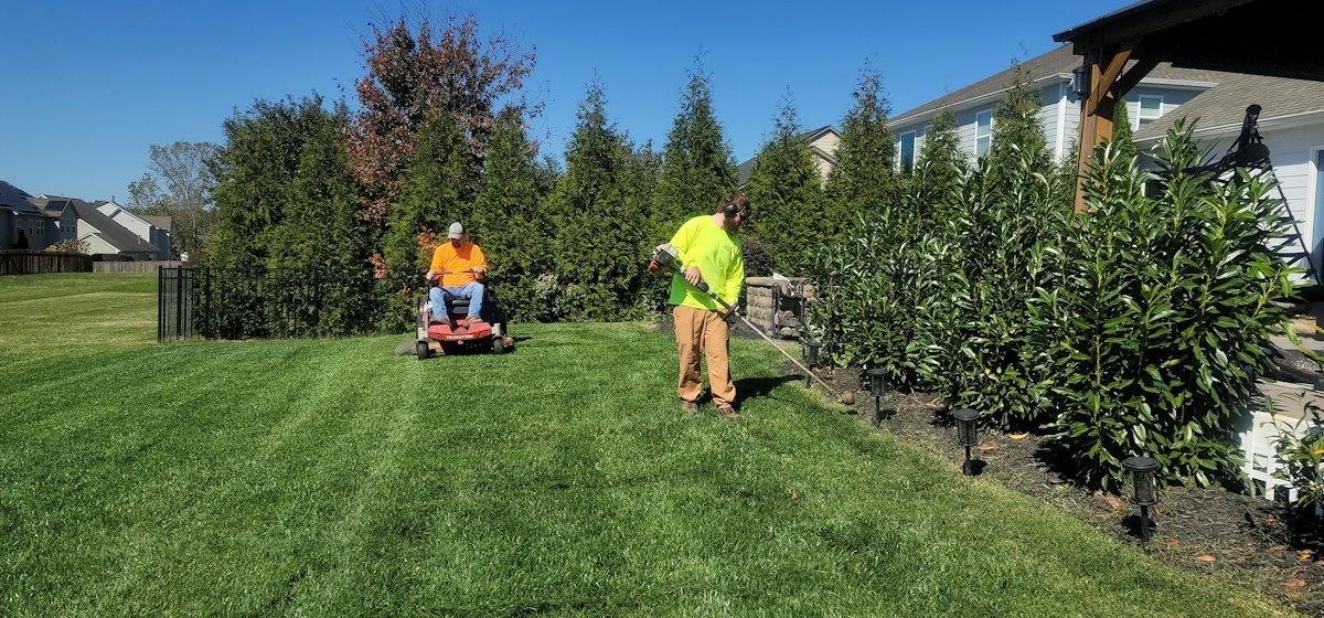 Gardener mowing a lawn with a push mower