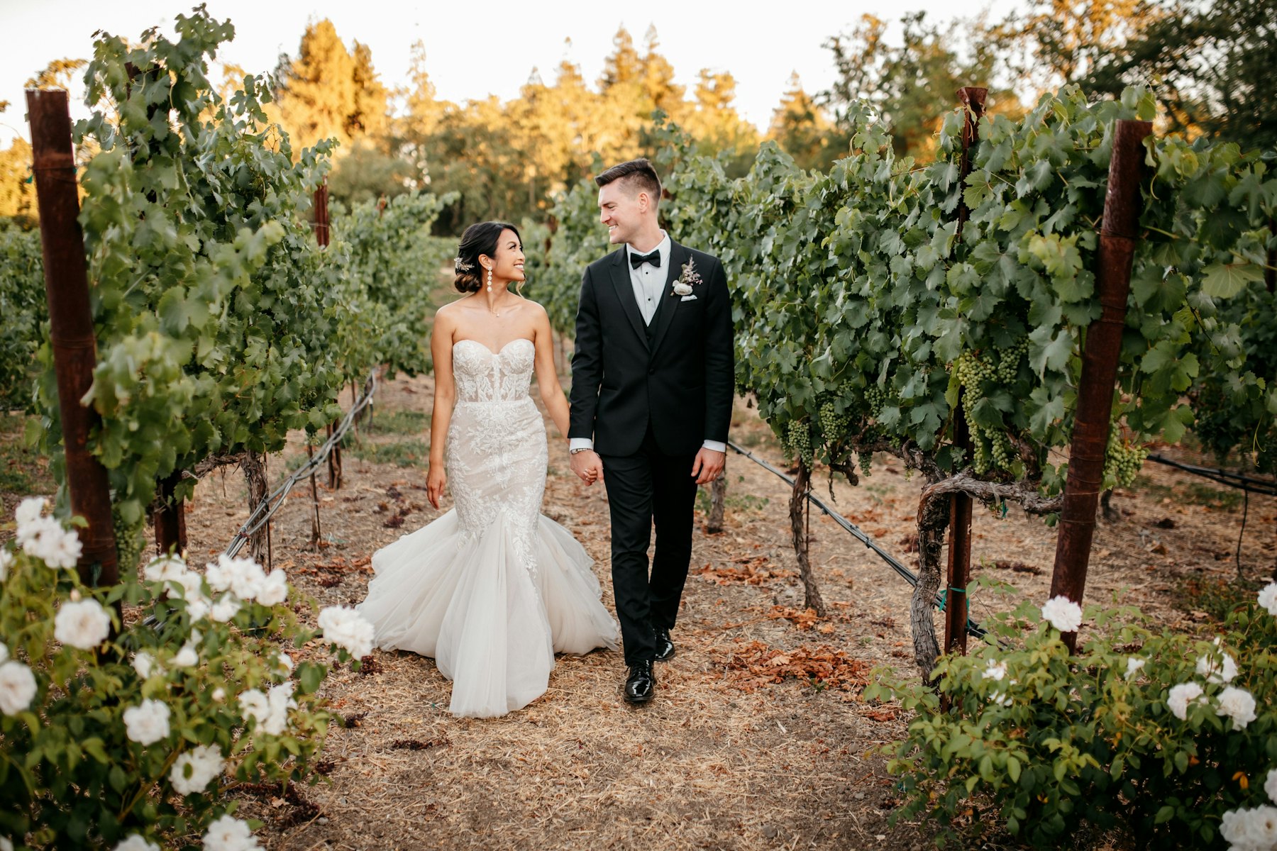 Newlyweds walking through a sunny vineyard